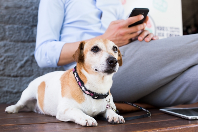 ペットと暮らす住宅のポイント