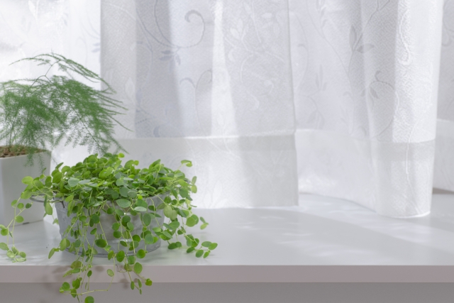 ウインドウトリートメントの役割と種類