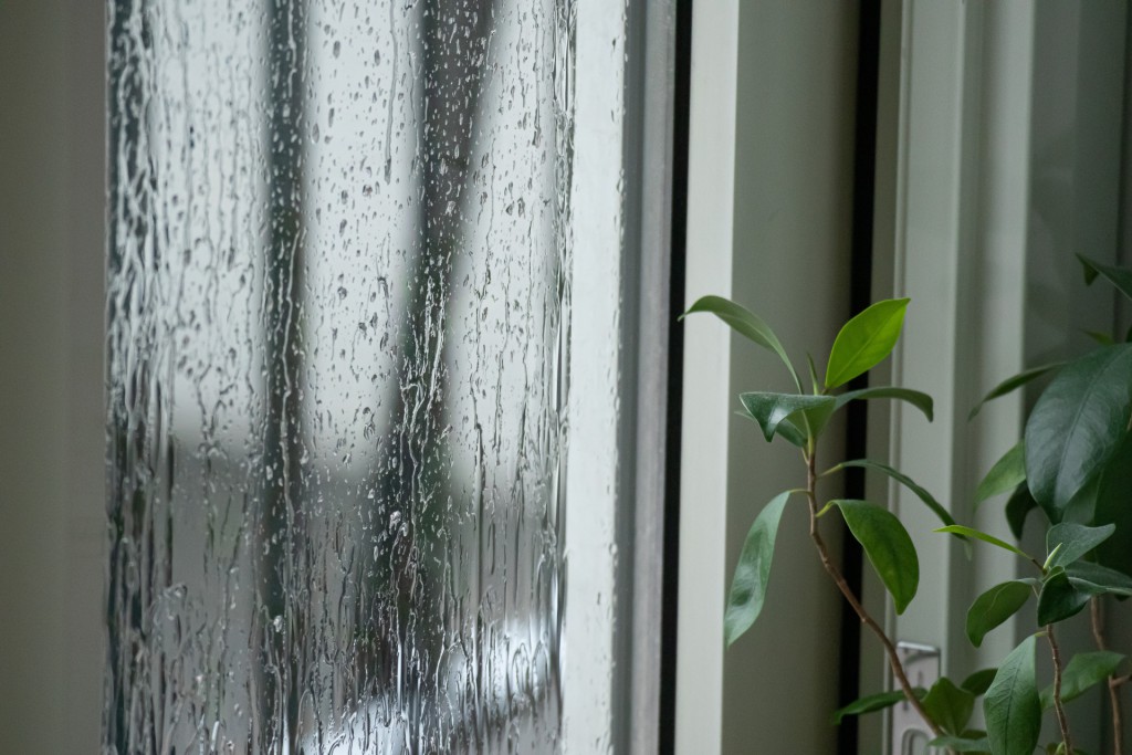 〜湿気・カビ・洗濯の悩みを解消する設計アイデア〜