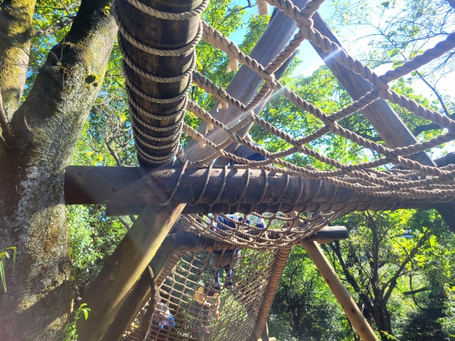 家族で出かけたい！神戸から行けるアスレチック・外遊びスポット紹介