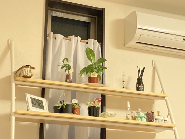 春の試運転で気づいた、小さなストレス